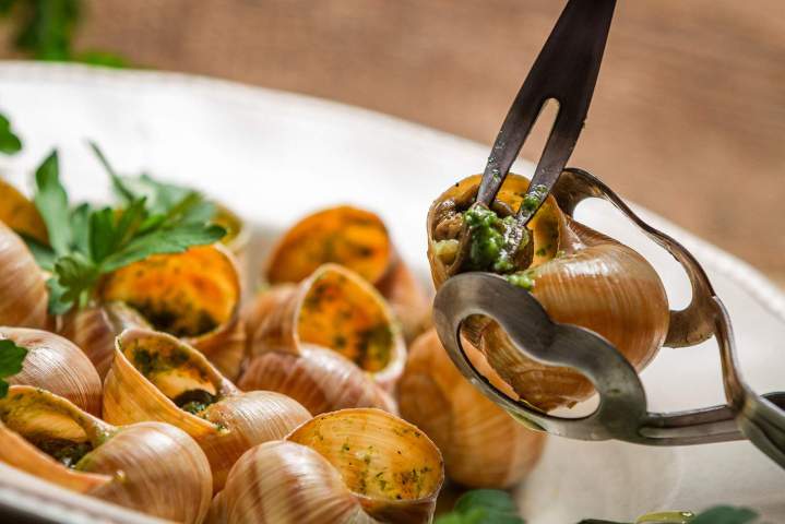 Les escargots d’Amandine Chagny