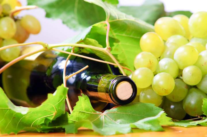 Vin blanc à Chagny