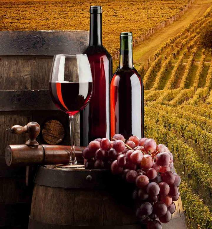 Vins Rouges Chagny